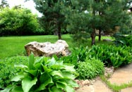 Питомник растений Мишково - только чистые сорта и качественный посадочный материал!