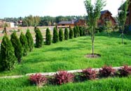 Ландшафтный дизайн - живые изгороди от Озеленения